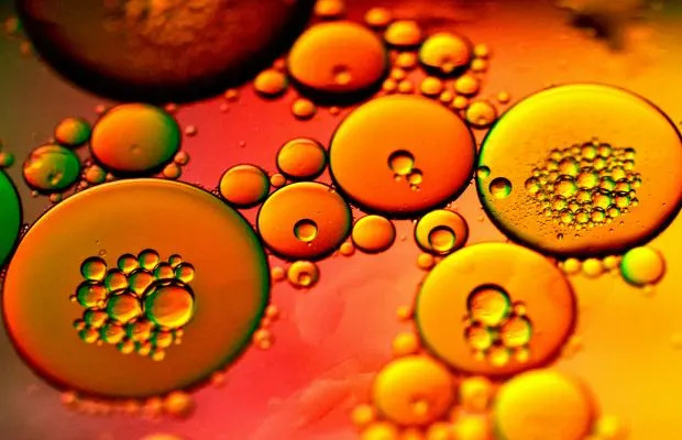 Oil