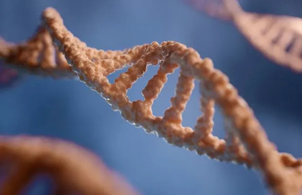 DNA
